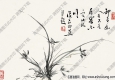 白蕉國(guó)畫(huà) 蘭花 高清大圖下載