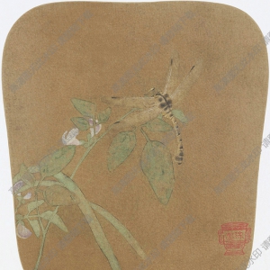 宋《豆莢蜻蜓圖》團(tuán)扇國(guó)畫(huà)高清大圖下載