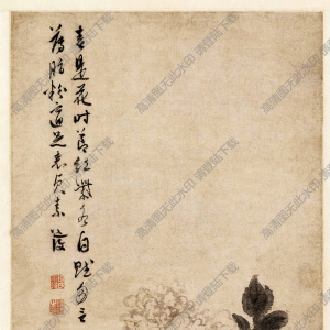 明 陳淳《牡丹花卉圖》國(guó)畫(huà)高清大圖下載