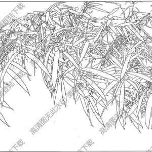 竹子白描圖片1高清下載