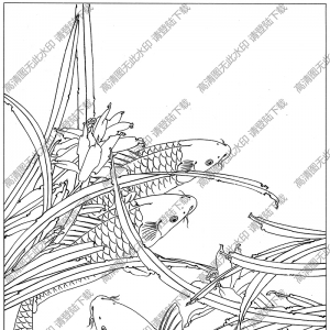 魚(yú)白描線(xiàn)稿15高清圖片下載