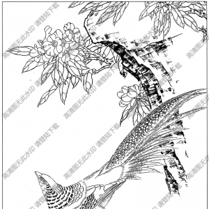 雞線描畫底稿4高清大圖下載