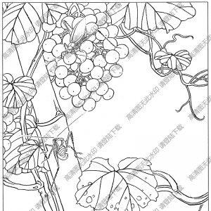 草蟲(chóng)白描圖片4高清下載