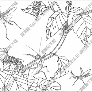 草蟲(chóng)白描圖片6高清下載