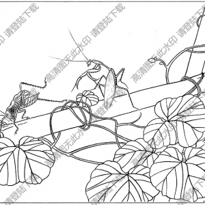 局部圖：草蟲(chóng)線描畫(huà)底稿9高清大圖下載