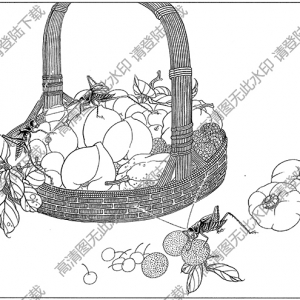 草蟲(chóng)白描線稿15高清圖片下載