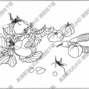 草蟲(chóng)白描線稿16高清圖片下載