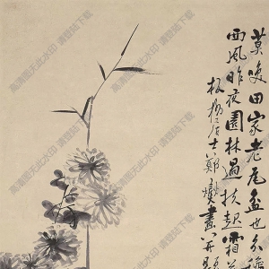 鄭板橋作品 菊花 (2) 高清大圖下載